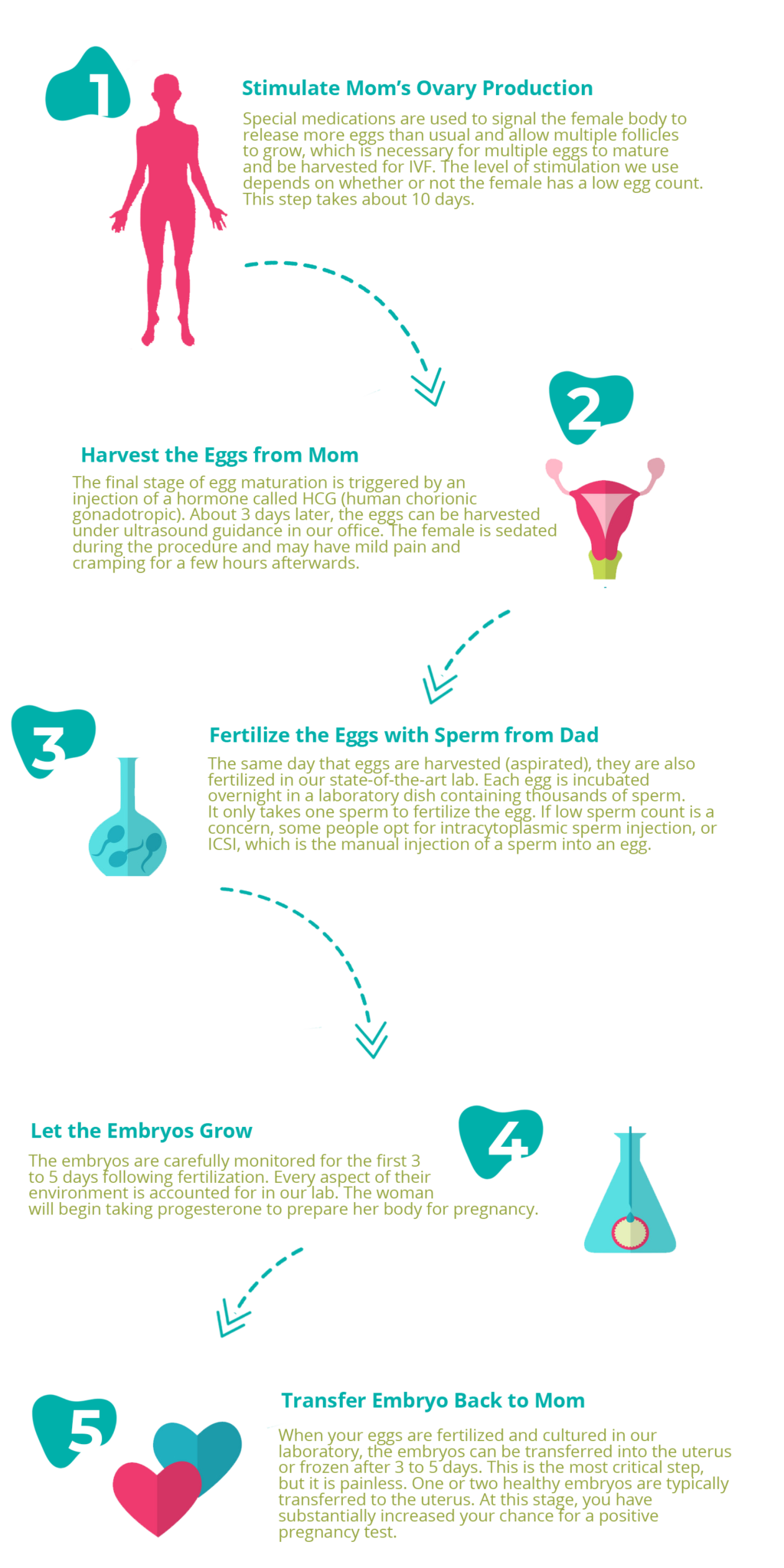 In Vitro Fertilization (IVF MIAMI) CONCEPTIONS FLORIDA